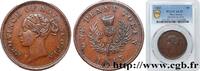 KANADA - NEUSCHOTTLAND 1 Penny Token Nova Scotia Victoria KANADA - NEUSCHOTTLAND 1843 (32mm, 16,9g, 6h) -