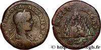 THE SEVERANS (193 AD to 235 AD) Pentassaria ALEXANDER SEVERUS Césarée, Cappadoce 227 (27mm, 12,12g, 6h) -