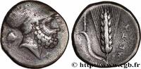 Classic 3 (350 BC to 323 BC) Nomos ou Didrachme LUKANIEN - METAPONT Métaponte c. 330 AC. (21,5mm, 7,62g, 5h) -
