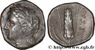 Classic 3 (350 BC to 323 BC) Nomos, statère ou didrachme LUKANIEN - METAPONT Métaponte, Lucanie c. 300-280 AC. (21mm, 7,56g, 3h) -