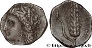 Classic 3 (350 BC to 323 BC) Nomos, statère ou didrachme LUKANIEN - METAPONT Métaponte, Lucanie c. 300-280 AC. (20,5mm, 6,93g, 11h) -