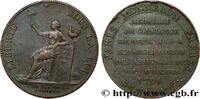 FRANKREICH Monneron de 2 sols à la Liberté REVOLUTION COINAGE Birmingham, Soho 1791 (32mm, 18,41g, 6h) -