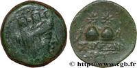 Hellenistic 2 (188 BC to 30 BC) Unité KILIKIEN - SOLOI Soloi, Cilicie c. 150-100 (20,5mm, 6,267g, 12h) -