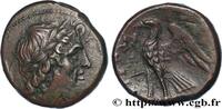Hellenistic 1 (323 BC to 188 BC) Drachme ou unité BRUTTIUM - BRETTII Locres ou Crotone Bruttium 214-211 AC. (20mm, 7,35g, 3h) -