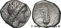 Classic 3 (350 BC to 323 BC) Nomos, statère ou didrachme LUKANIEN - METAPONT Métaponte, Lucanie c. 330-290 AC. (18,5mm, 7,82g, 11h) -