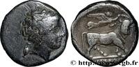 Classic 3 (350 BC to 323 BC) Nomos ou didrachme KAMPANIEN - NEAPOLIS Naples, Campanie c. 300-275 AC. (19,5mm, 6,99g, 11h) -
