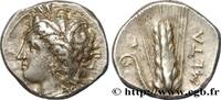 Classic 3 (350 BC to 323 BC) Nomos, statère ou didrachme LUKANIEN - METAPONT Métaponte, Lucanie c. 300-280 AC. (20mm, 7,94g, 6h) -
