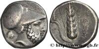 Classic 3 (350 BC to 323 BC) Nomos ou Didrachme LUKANIEN - METAPONT Métaponte c. 330 AC. (20mm, 7,79g, 3h) -