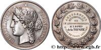 FRANKREICH Médaille, Ambulances municipales du 9e arrondissem GUERRE DE 1870-1871 75 - Paris 1870-1871 (45,5mm, 49,90g, 12h) -