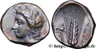 Classic 3 (350 BC to 323 BC) Nomos, statère ou didrachme LUKANIEN - METAPONT Métaponte, Lucanie c. 300-280 AC. (21mm, 7,79g, 3h) -