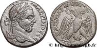 THE SEVERANS (193 AD to 235 AD) Tétradrachme syro-phénicien MACRINUS Émèse, Syrie, Séleucie et Pierie 217-218 (25mm, 12,15g, 12h) -