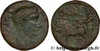 THE JULIO-CLAUDIANS (27 BC to 69 AD) As AUGUSTUS Berytus, Phénicie c. 12-14 (21mm, 7,13g, 12h) -