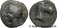 FRANKREICH Unité de bronze au protomé HISPANO-KARTHAGISCHEN IIIe siècle avant J.-C. (23mm, 9,67g, 1h) -