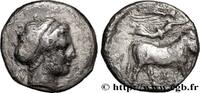 Classic 3 (350 BC to 323 BC) Nomos, statère ou didrachme KAMPANIEN - NEAPOLIS Naples, Campanie c. 300-275 AC. (18,5mm, 6,54g, 12h) -
