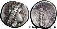 Classic 3 (350 BC to 323 BC) Nomos, statère ou didrachme LUKANIEN - METAPONT Métaponte, Lucanie c. 330-290 AC. (20mm, 7,85g, 9h) -