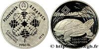 BELARUS 1 Rouble Proof fougère / tortue des marais BELARUS Varsovie 2010 (33mm, 13,16g, h) -