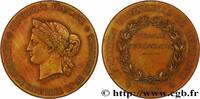 FRANKREICH Médaille commémorative, Exposition universelle de EXPOSITIONS UNIVERSELLES 1888 (59,5mm, 98,60g, 12h) -
