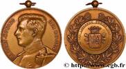 FRANKREICH Médaille, Comice agricole BELGIQUE - ROYAUME DE BELGIQUE - ALBERT Ier n.d. (56,5mm, 42,84g, 12h) -