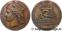 FRANKREICH Médaille de récompense, Épidémies MINISTÈRES 1899 (50,5mm, 58,03g, 12h) -