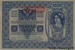 ÖSTERREICH 1000 Kronen ÖSTERREICH 1000 Kronen 1919 VZ+ -