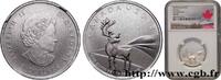 KANADA 3 Dollars Proof Caribou KANADA 2018 (27mm, 7,96g, 12h) -