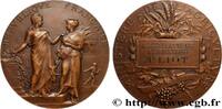 FRANKREICH Médaille de récompense, Associations agricoles MINISTÈRES n.d. (49,5mm, 66,18g, 12h) -