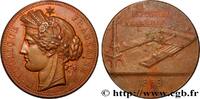 FRANKREICH Médaille, Exposition universelle EXPOSITIONS UNIVERSELLES 75 - Paris 1889 (50,5mm, 55,09g, 12h) -