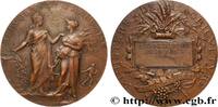 FRANKREICH Médaille de récompense, Associations agricoles MINISTÈRES 1904 (49,5mm, 60,53g, 12h) -