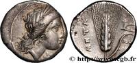 Classic 3 (350 BC to 323 BC) Nomos, statère ou didrachme LUKANIEN - METAPONT Métaponte, Lucanie c. 330-290 AC. (20,5mm, 7,72g, 6h) -
