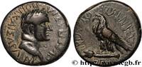THE FLAVIANS (69 AD to 96 AD) Assarion VESPASIANUS Phrygie, Amorium c. 69-79 (19,5mm, 6,04g, 7h) -