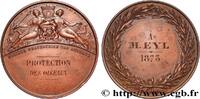 FRANKREICH Médaille, Société protectrice des animaux, Protect ANIMAUX 1873 (41mm, 32,26g, 12h) -