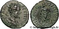 THE SEVERANS (193 AD to 235 AD) Assarion SEPTIMIUS SEVERUS Nicopolis ad Istrum, Mésie Inférieure c. 193-211 (16,5mm, 2,38g, 12h) -