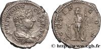 THE SEVERANS (193 AD to 235 AD) Denier GETA Rome 207 (19mm, 3,26g, 12h) -