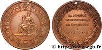 FRANKREICH Médaille, Société industrielle SOCIÉTÉS 67 - Mulhouse n.d. (50mm, 65?01g, 12h) -