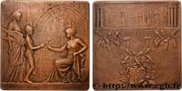 FRANKREICH Plaquette, Exposition Universelle de Bruxelles EXPOSITIONS UNIVERSELLES Belgique, Bruxelles 1910 (67,5mm, 131,50g, 12h) -