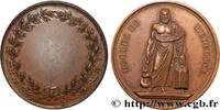 FRANKREICH Médaille, École de médecine MÉDECINE - ACADÉMIES, FACULTÉS, UNIVERSITÉS ET ÉCOLES (1805) (40,5mm, 32,28g, 12h) -