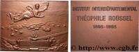 FRANKREICH Plaquette, Institut interdépartemental Théophile R ENSEIGNEMENT 1995 (59,5mm, 226,27g, 12h) -