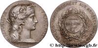 FRANKREICH Médaille de récompense, services rendus, ravitaill MINISTÈRES n.d. (35,5mm, 20,73g, 12h) -