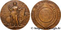 FRANKREICH Médaille, Cours d’adultes ENSEIGNEMENT Algérie, Perrégaux ou Mohammadia 1904 (49,5mm, 58,39g, 12h) -