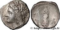Classic 3 (350 BC to 323 BC) Nomos, statère ou didrachme LUKANIEN - METAPONT Métaponte, Lucanie c. 300-280 AC. (20,5mm, 7,64g, 1h) -