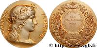 FRANKREICH Médaille, Ligue maritime française MER ET MARINE : PAQUEBOTS, NAVIRES, BATEAUX n.d. (40,5mm, 35,11g, 12h) -