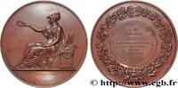 FRANKREICH Médaille, Société industrielle de Mulhouse SOCIÉTÉS 68 - Mulhouse 1895 (67,5mm, 147,72g, 12h) -