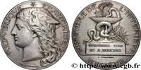 FRANKREICH Médaille, Épidémies MINISTÈRES 1889 (51mm, 63,86g, 12h) -
