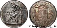 FRANKREICH Médaille, Université de Genève, Prix de littératur UNIVERSITÉS n.d. (41mm, 34,81g, 12h) -
