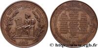 FRANKREICH Médaille, Témoignage d’estime, dévouement et affec NOTAIRES DU XIXe SIECLE 1874 (45,5mm, 47,40g, 12h) -