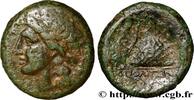 Classic 3 (350 BC to 323 BC) Litra KAMPANIEN - NEAPOLIS Naples, Campanie c. 300-275 AC. (21mm, 6,66g, 11h) -