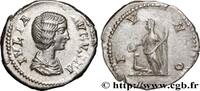 THE SEVERANS (193 AD to 235 AD) Denier IULIA DOMNA Rome 209 (18mm, 3,55g, 6h) -