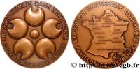 FRANKREICH Médaille, Progrès Humain dans l’harmonie EXPOSITIONS UNIVERSELLES 1970 (71,5mm, 180,66g, 12h) -