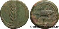 FRANKREICH Unité de bronze ou as HISPANIA - ILIPENSE (Province de Alcala del Rio - Séville) Ilipense IIe siècle avant J.-C. (32mm, 18,75g, 9h) -