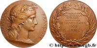 FRANKREICH Médaille, Fédération philatélique de France, Expos PHILATÉLIE 1909 (50mm, 54,1g, 12h) -